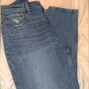 Abercrombie & Fitch Curve Jeans